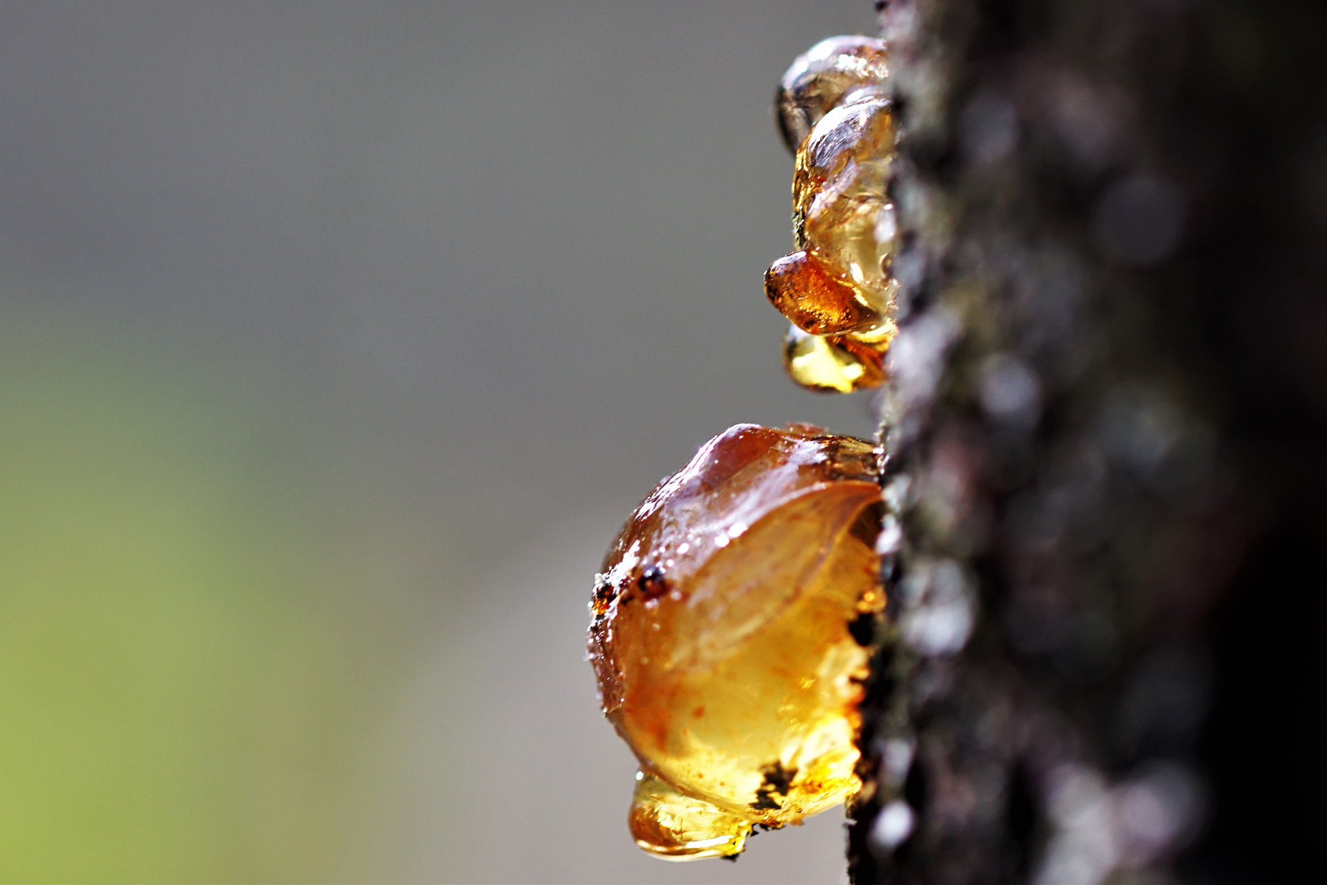 Rosin on wood